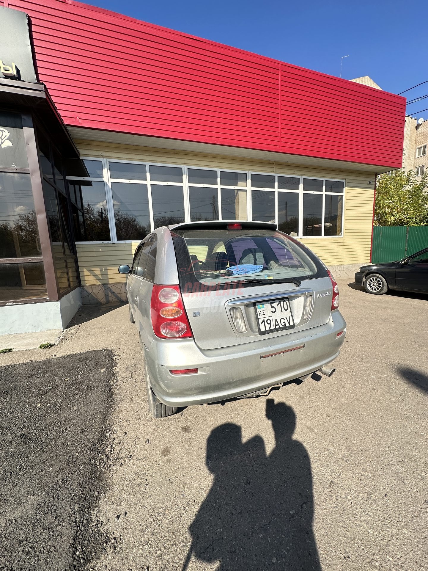 Toyota Nadia